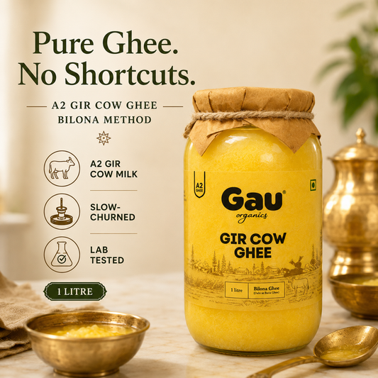 Gir Cow Bilona Ghee - Pure A2 | Traditional & Organic