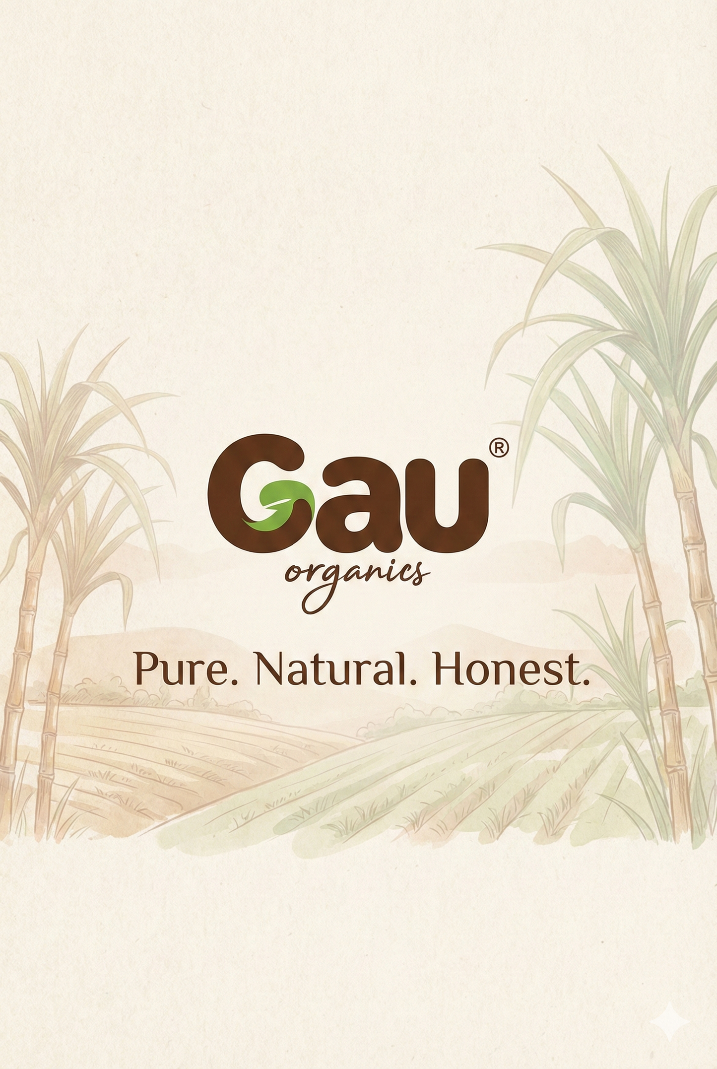 Jaggery Powder (500g)