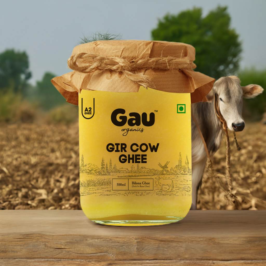 Gir Cow Bilona Ghee