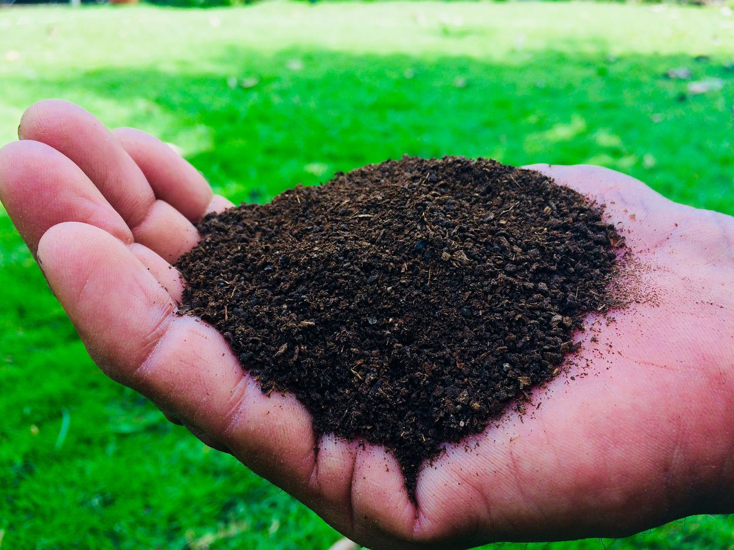 Vermicompost Manure